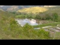 How to Breed Tilapia - All Facts - English Subtitles - TvAgro por Juan Gonzalo Angel - YouTube