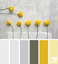 Seeds | colour pallet voor het optimisme in deze keuze