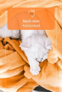 Trocknen, Warmhalten, Fellpflege - ein Muss nach dem Katzenbad. Mit einem Handtuch könnt ihr eure Samtpfote vorsichtig abtrocknen, Föhne eignen sich nicht. Danach wäre der perfekte Zeitpunkt, um eurem Liebling mal wieder ein Fellpflegeprogramm zu gönnen.