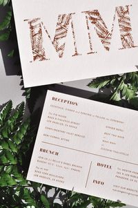 Ferns & Flowers — PAPER & TYPE