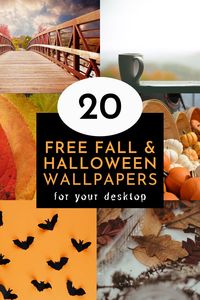 Are you looking forward to the smell of pumpkin spice and cloves? For the leaves to start falling and the colours to change from vibrant green to golden orange? Start early with these FREE Fall and Halloween desktop wallpapers. #download #halloween #fall #wallpapers #freebies