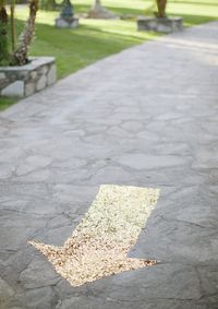 sequin directional sign | design by Jesi Haack | 100 Layer Cake