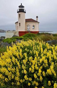 Faro del río de Coquille - Oregon