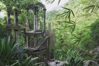 Here are the ins and outs and everything you need to know about visiting Las Pozas, in Mexico's Xilitla and some history on Edward James' Surrealist Garden