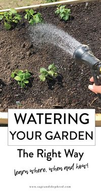 water your vegetable garden the right way sage and shepherd farm