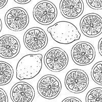 Lemon, lime black and white contour seamless pattern royalty-free lemon lime black and white contour seamless pattern stock vector art & more images of fruit