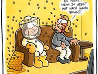 12 Bienen HumorIdeen bienen, humor, lustig