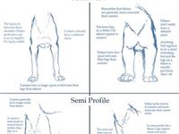 650 Draw dogs ideas in 2022 | animal drawings, dog drawing ...