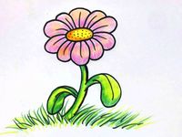 15 Beautiful Flower Drawing ideas in 2022 | beautiful flower ...