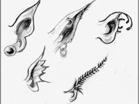 85 Drawing Faries ideas | drawings, fairy drawings, art drawings