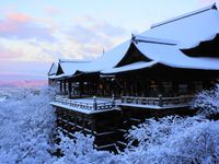 京都 雪 Kyoto Snow 雪女も絶賛の京都の雪景色 Incredibly Beautiful Kyoto Snow のアイデア 380 件 京都 雪 冬の風景 雪の写真 京都 雪 Kyoto Snow 雪女も絶賛の京都の雪景色 Incredibly Beautiful Kyoto Snow のアイデア 380 件 京都 雪 冬の風景 雪の写真