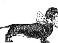 180 Best Dachshund drawing ideas | dachshund, dachshund ...