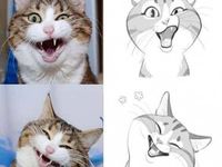 52 Best Cat cartoon drawing ideas | cat drawing, animal drawings ...