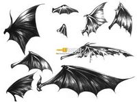 Devil Wings