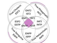Care este caracterul corului? Caracteristică scurtă a tipurilor de temperament.