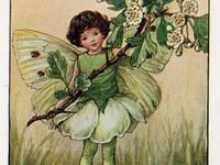 fairy stuff