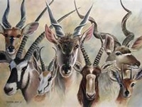 Small african antelope crossword