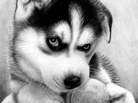 71 Best Realistic Sketch ideas | drawings, pencil drawings, realistic ...