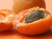 zsírégető hasi teatox hogyan lehet zsírveszteséget aludni