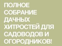 садоводство: лучшие изображения (270) в 2019 г.