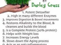 What Vegetables Help You Lose Belly Fat What vegetables help you lose belly fat