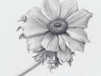 35 Best Realistic flower drawing ideas | flower drawing, realistic ...
