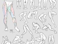 270 Best Drawing Legs ideas in 2022 | drawing legs, anatomy ...