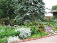 140 Front yard xeriscape ideas in 2021 | xeriscape, front yard, outdoor