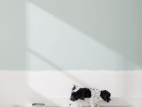 48 2016, 2017, 2018 color trends paint/home ideas | color trends, home