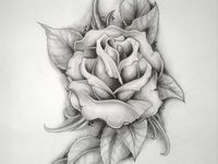210 Best Rose drawings ideas in 2022 | roses drawing, drawings ...