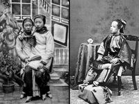 41 Ideas De Pies De Loto China China Loto Pies