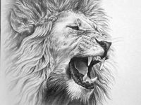 43 Lion Tattoo Drawings In Pencil ideas