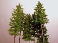 40x Modellbäume DIY Eisenbahnlandschaft Landschaftszubehör 3.15 '' 1/150 N 40x Modellbäume DIY Eisenbahnlandschaft Landschaftszubehör 3.15 '' 1/150 N