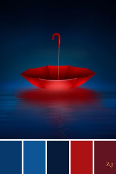 Dark Blue Navy Color Powder Red Skin Shire Paleta De Colores Color Schemes Colour Palettes Palette Blue Red Combinations