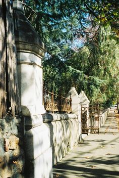 Maple Lawn Louise Arner Boyd S Home In San Rafael California Now Gate Running Around The Perimeter Of Maple Lawn Now Owned By Elks Lodge