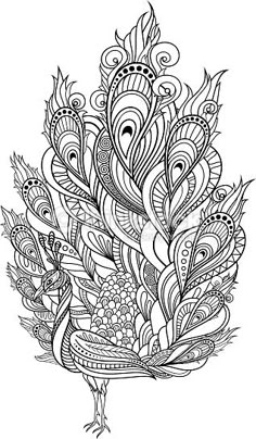Zentangle Peacock Coloring Page Vector Tribal Decorative Isolated Bird On Transparent Background