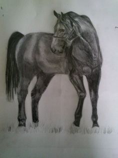 the best drawing paper for graphite pencil art pinterest