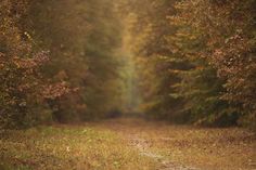 51 best kcc spring summer digital backgrounds images digital digital backgrounds free