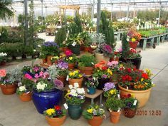 25 Best Garden Center Highlights Images In 2020 25 Best Garden Center Highlights Images