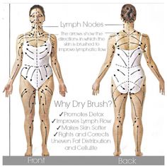 lymph node chart back lymphedema pinterest lymph nodes lymph node chart