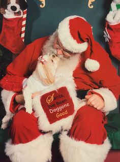 santa christmas christmas 2015 friend 2 shih tzu charts father christmas christmas time animais graphics - Christmas Furry santa christmas christmas 2015 friend 2 shih tzu charts father christmas christmas time animais graphics - Christmas Furry