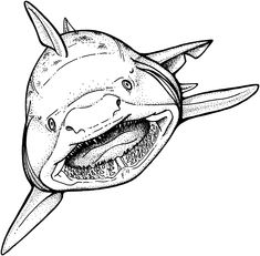 Print Whale Shark Coloring Pages To Free Home