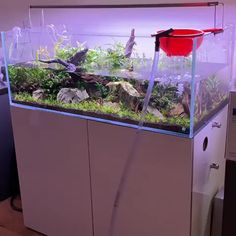 140 Ideas De Fish Tank Peceras Acuarios Diseño De Acuario