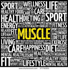 words for fitness under fontanacountryinn com words for fitness