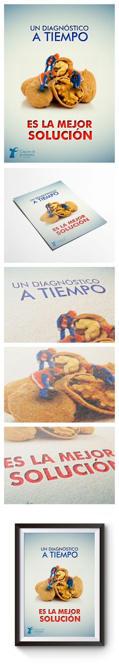 libro perfecto de salud de la próstata libro perfecto de salud de la próstata