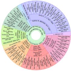 genealogy fan chart excel