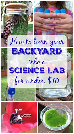 20 Diy Outdoor Science Experiments 20 Diy Outdoor Science Experiments