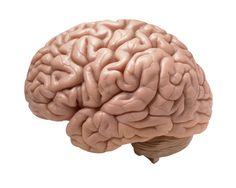 vitamina boa para memoria
