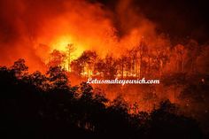 Discipline is the refining fire by which talent becomes ability. ― Roy L. Smith