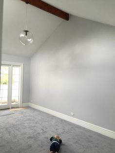 What Colour Carpet Goes With Grey Walls Google Search Master What Color Carpet With Light Gray Walls Vidalondon Grey Perfect